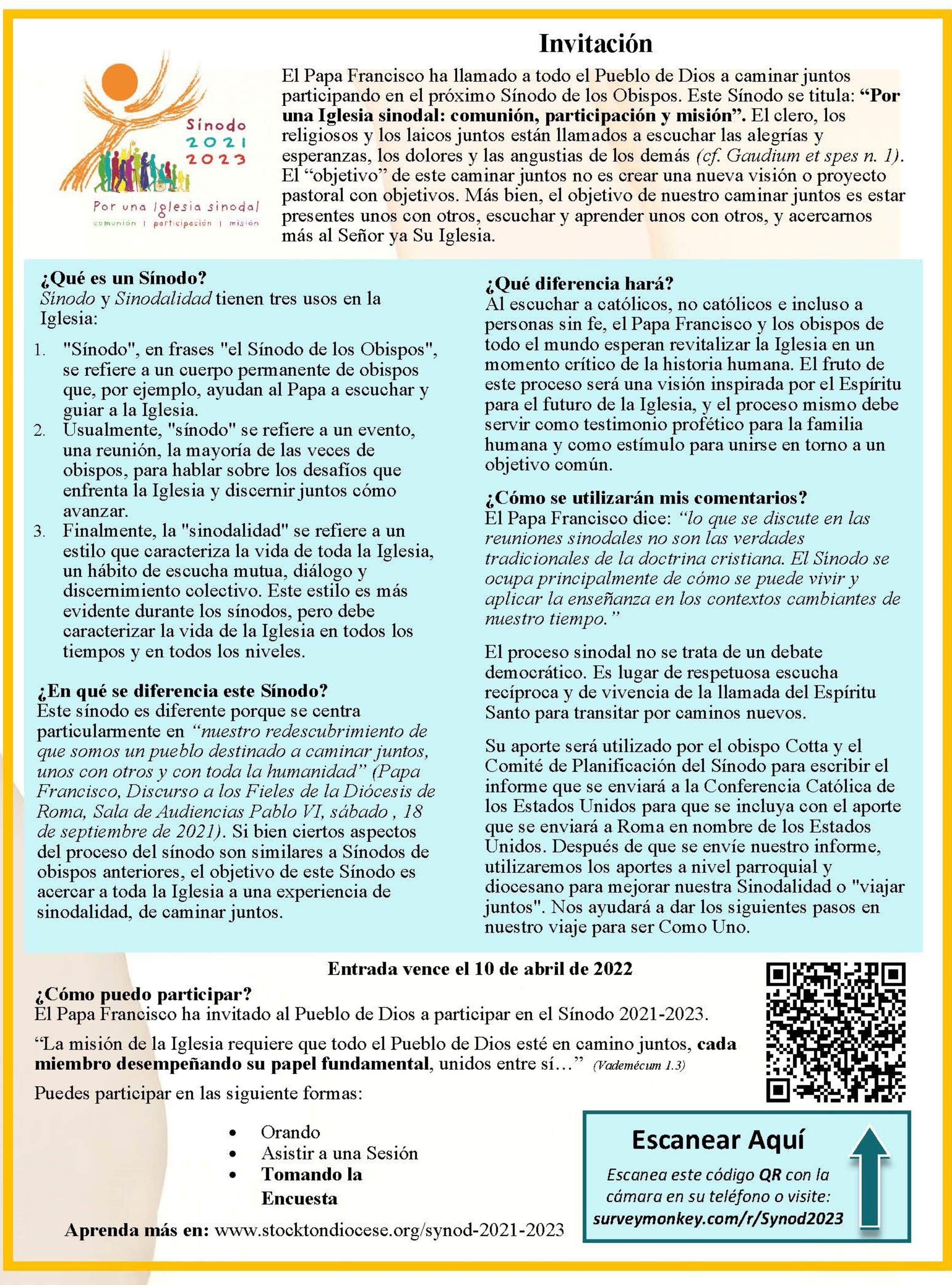 Synod Bulletin Insert Spanish