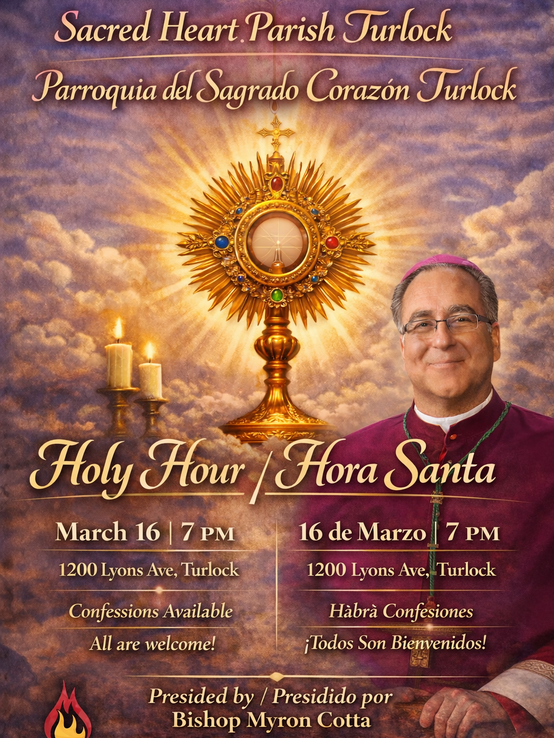 F728c5ab 9ff0 4ab3 A4dd 05c386ddd3ae